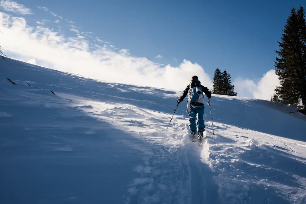 img_page_listado41